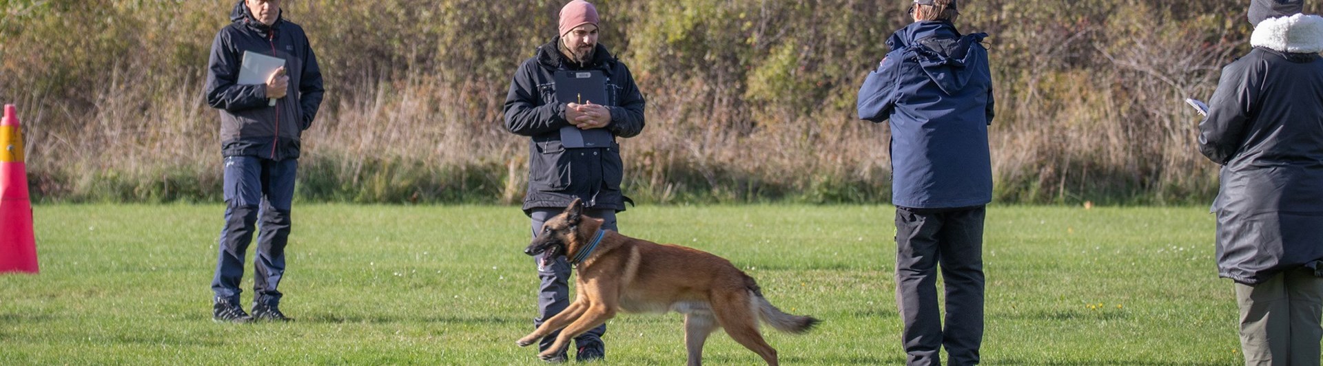 Momentet Framåtsändande genom grupp