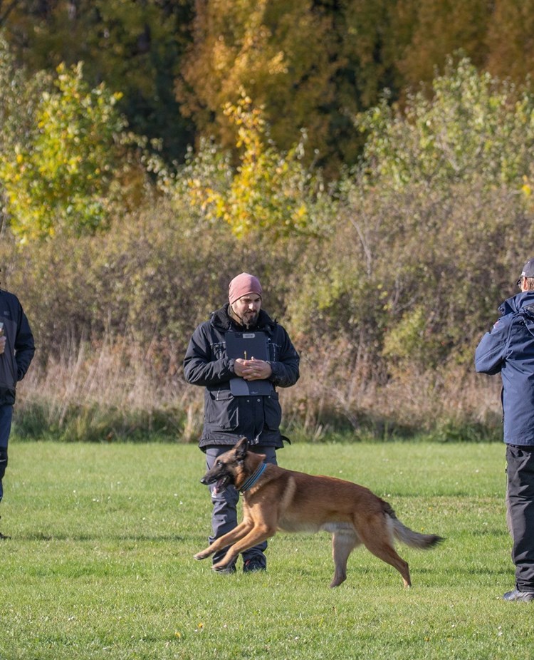 Momentet Framåtsändande genom grupp
