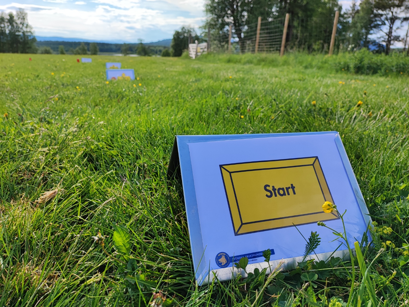 Rallylydnadsskylt START