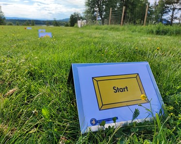 Rallylydnadsskylt START