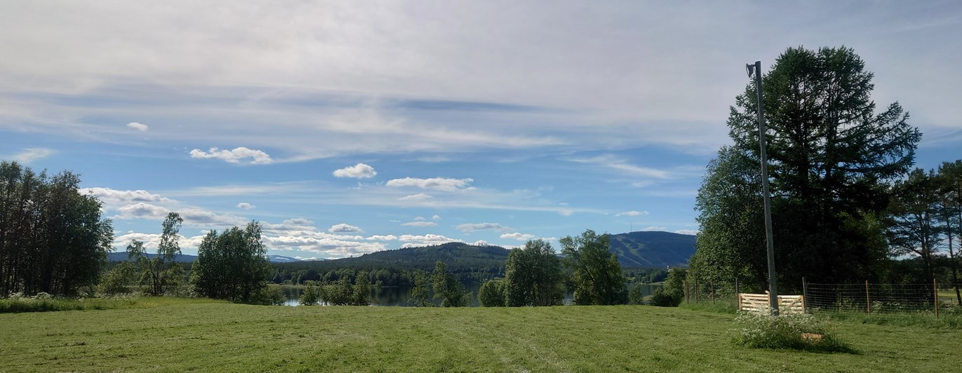 Vy från appellplan, Hundholmen