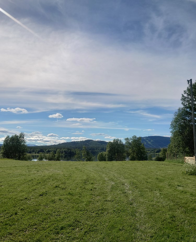 Vy från appellplan, Hundholmen