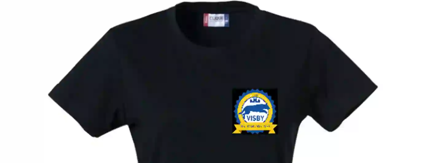 T-shirt med logga Visby BK