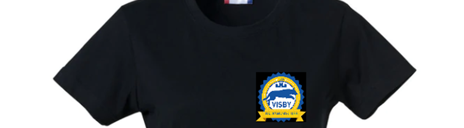 T-shirt med logga Visby BK