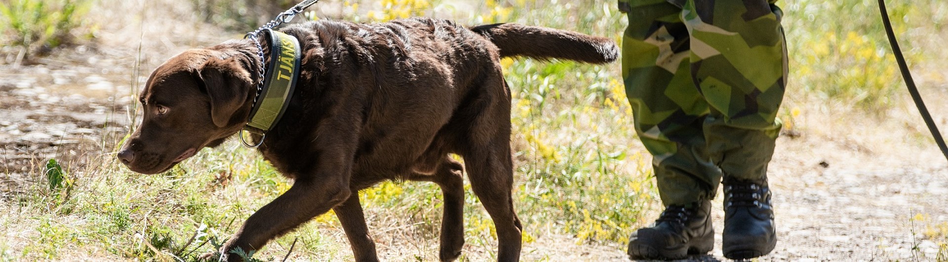 Fotograf: Magnus Fröderberg