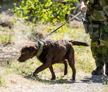 Fotograf: Magnus Fröderberg