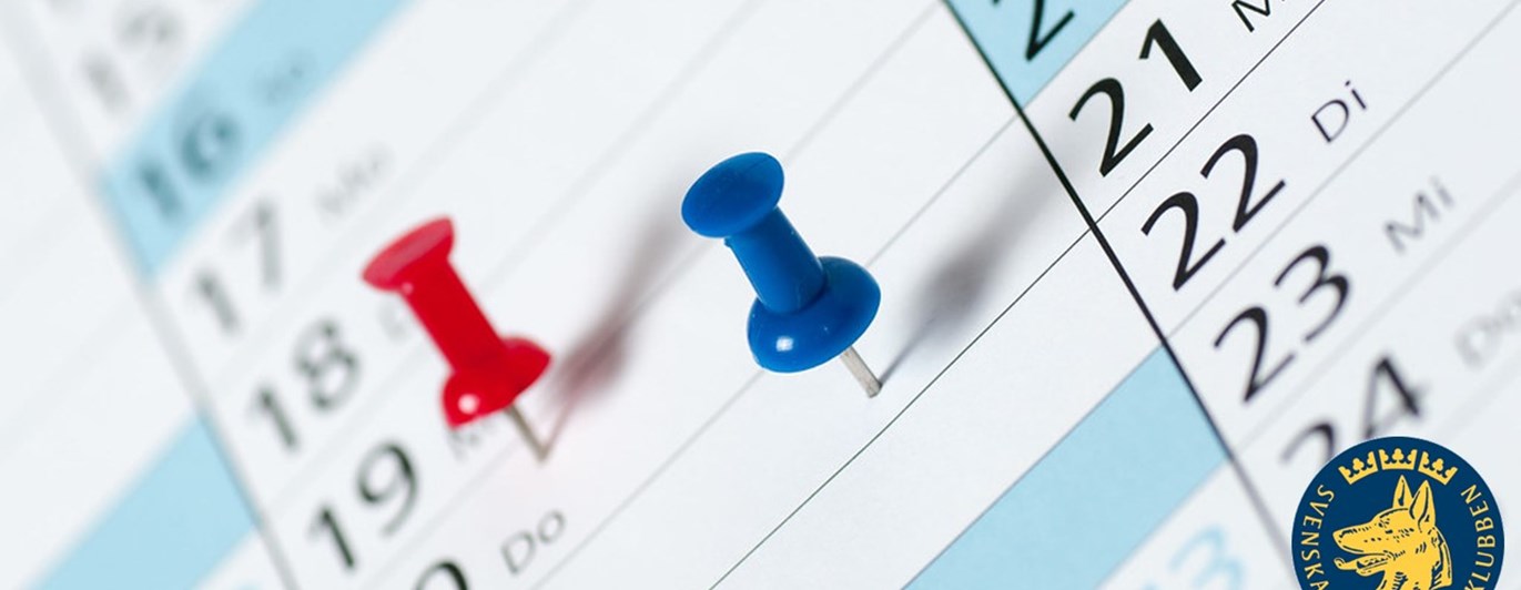 Bild för att illustrera kalender