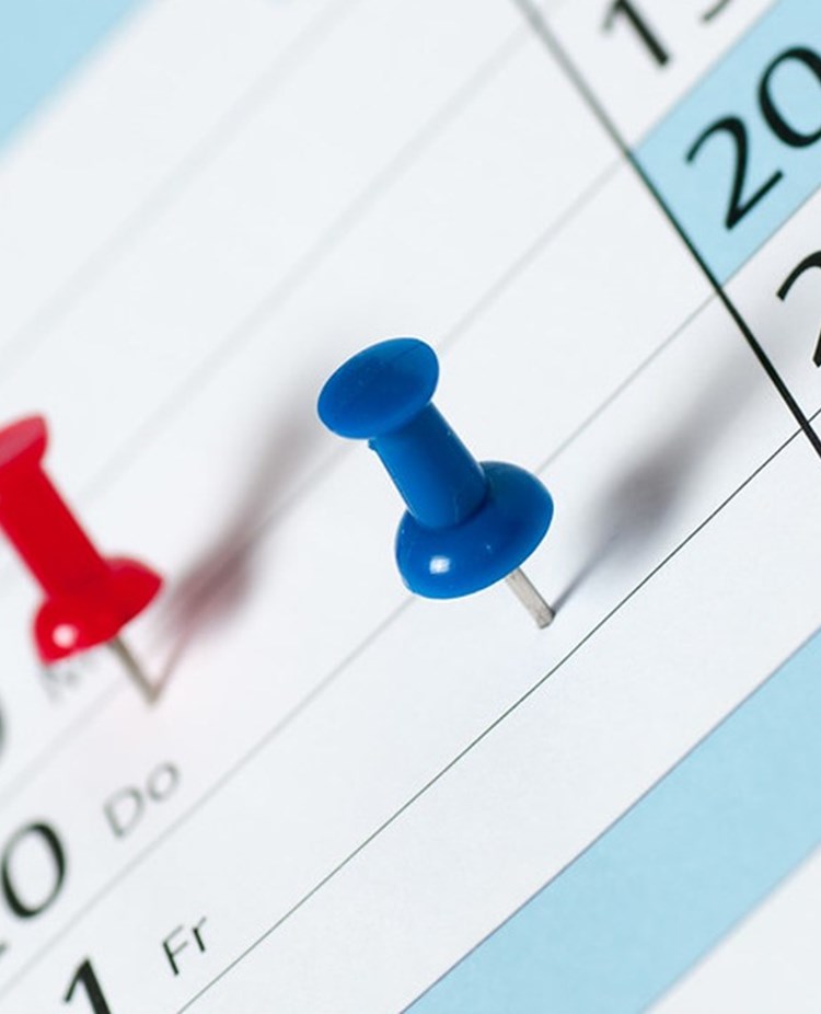 Bild för att illustrera kalender