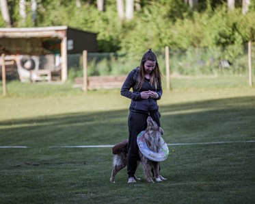 KM vinnare 2024 i Freestyle: Jenny Åström & Trubbel