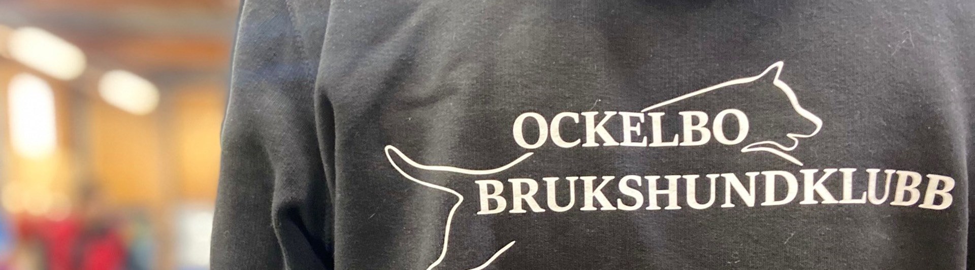 Ryggtavla på en person som bär en svart hoodie med Ockelbo brukshundklubbs logga. I bakgrunden syns ett ekipage som tränar kontakt med hunden sittandes vid sidan om föraren.