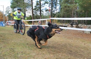 Barmarksdrag med cykel

