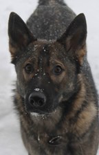 Inga-Lill Gustafsson (4)