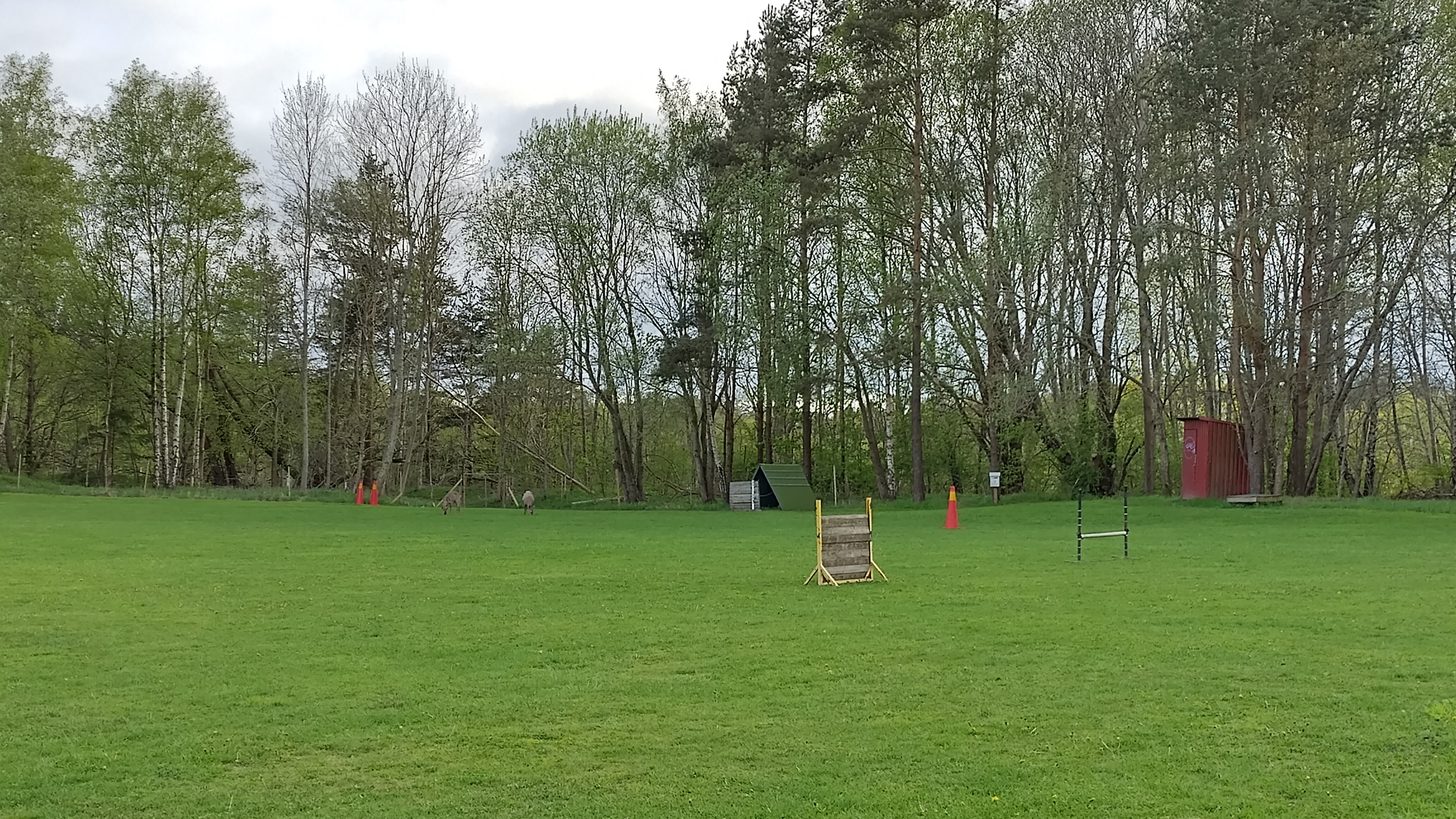 Göteborgdavdelningens appellplan