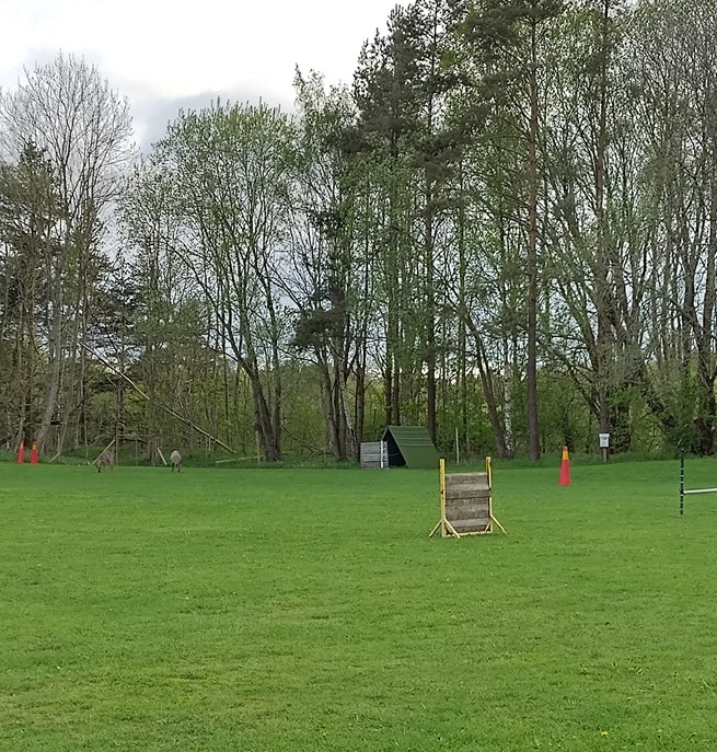 Göteborgdavdelningens appellplan