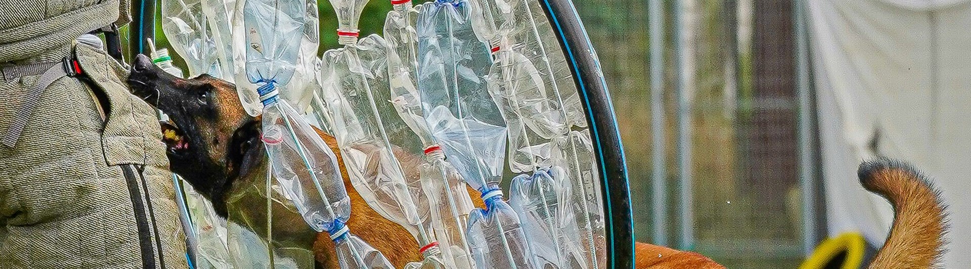 Bild regelbok mondioring 2023