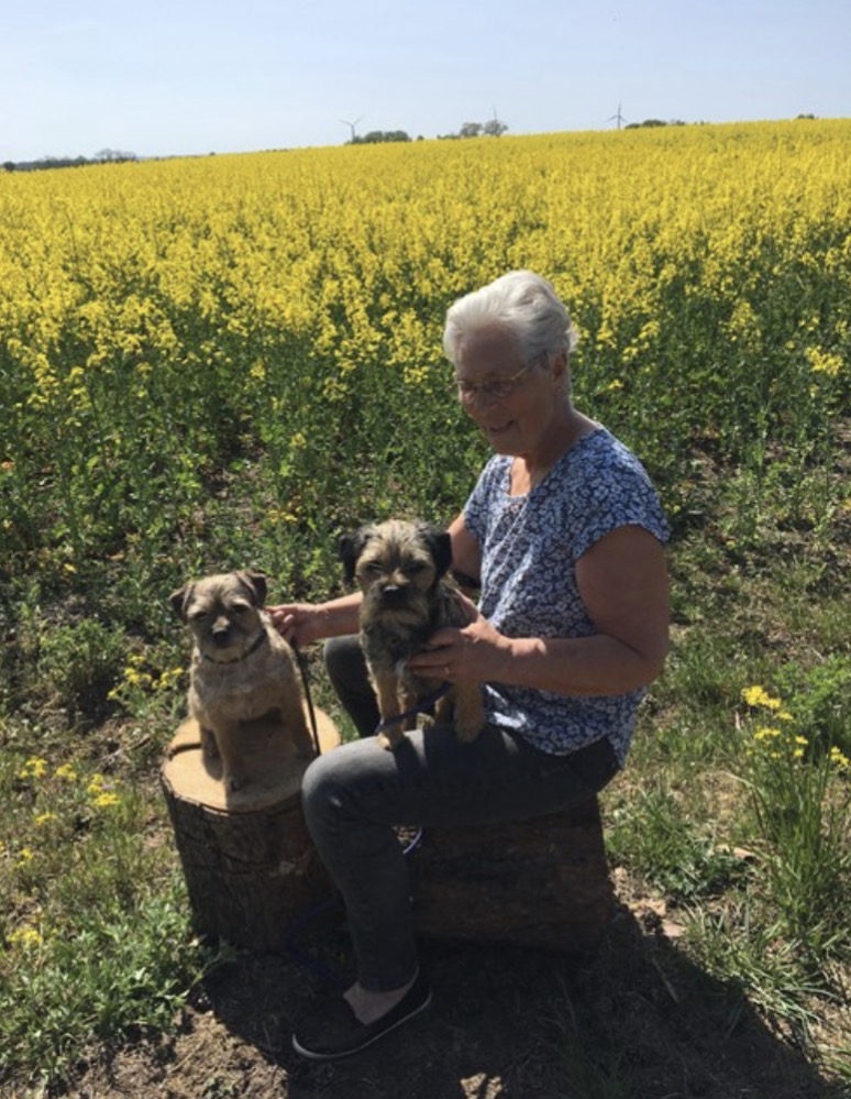 Barbro sitter på en sommaräng med sina två hundar