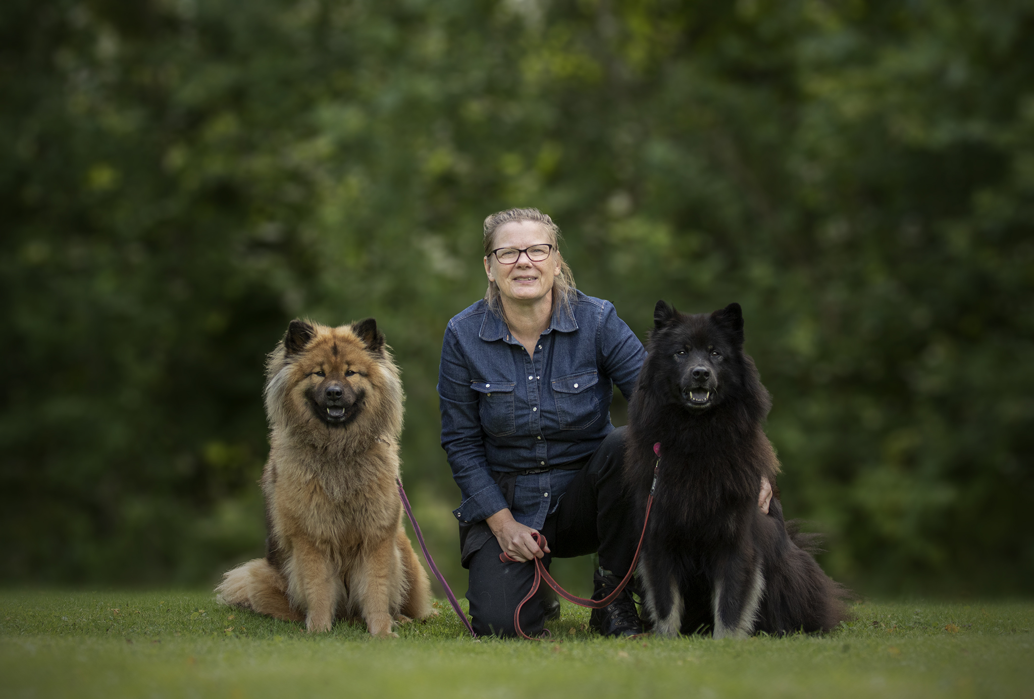 Förare som sitter på knä med varsin hund vid sin sida. En brun Eurasier på ena sidan och en svart Eurasier på andra sidan.