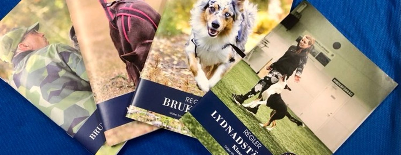 Bild på regelböcker