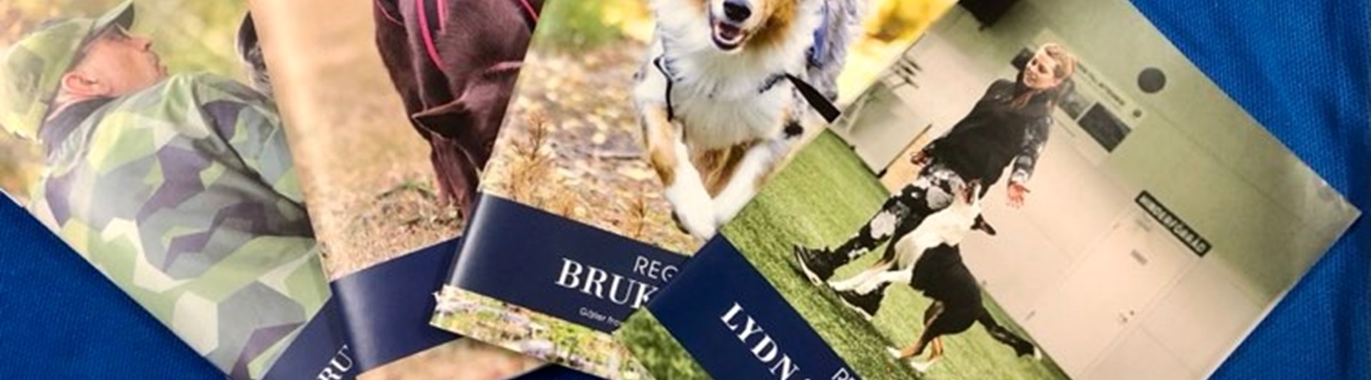 Bild på regelböcker