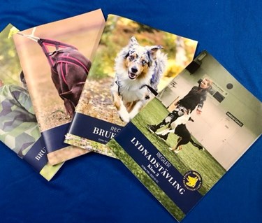 Bild på regelböcker