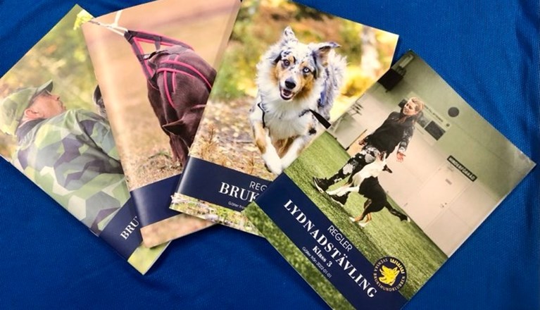 Bild på regelböcker