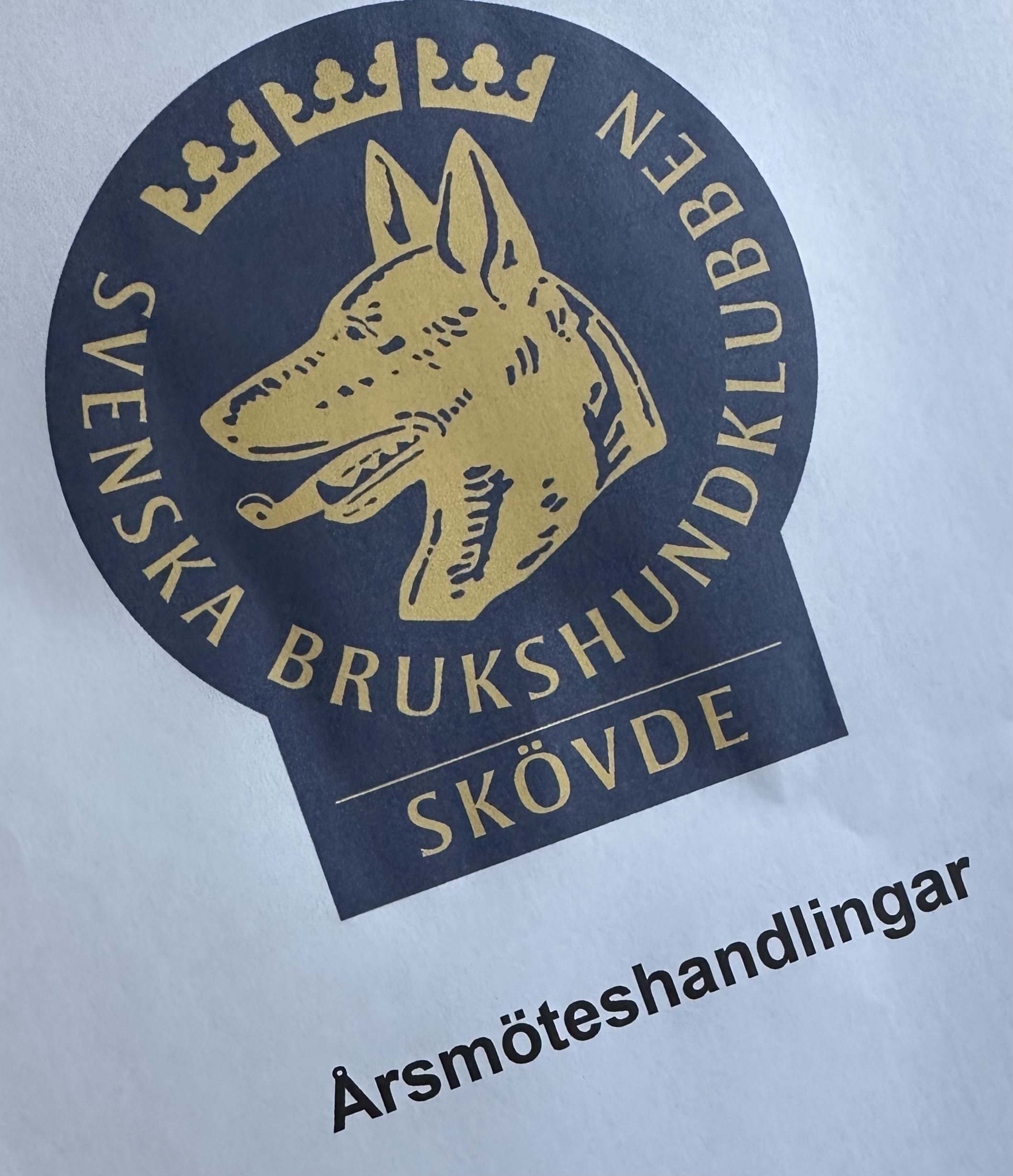 bild på årsmöteshandlingarnas förstablad