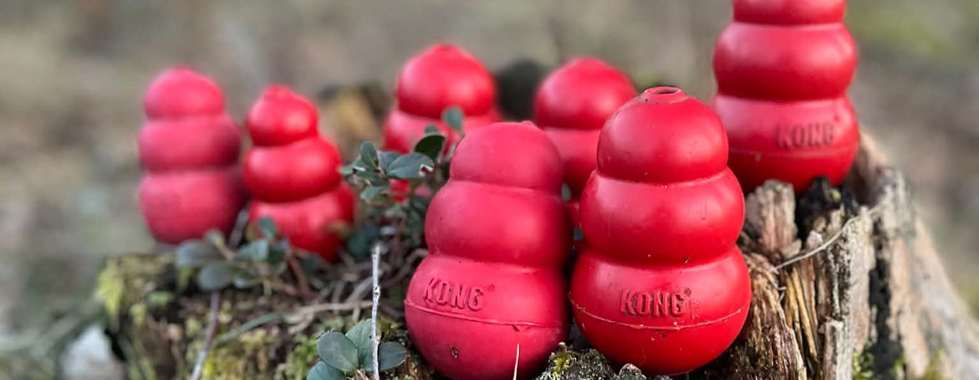 Många röda kongar i olika stl på en stubbe