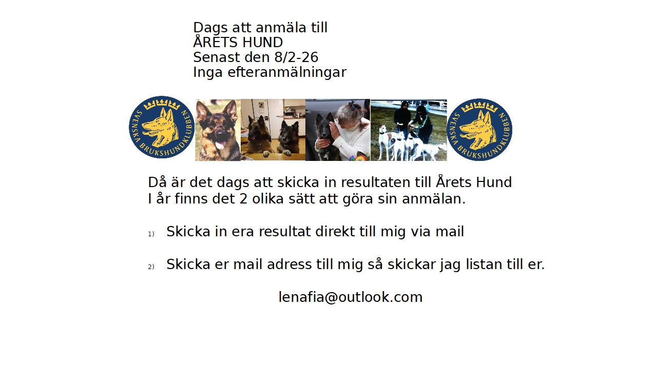 Anmälan Årets hund