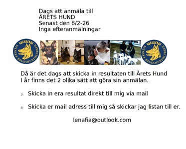 Anmälan Årets hund