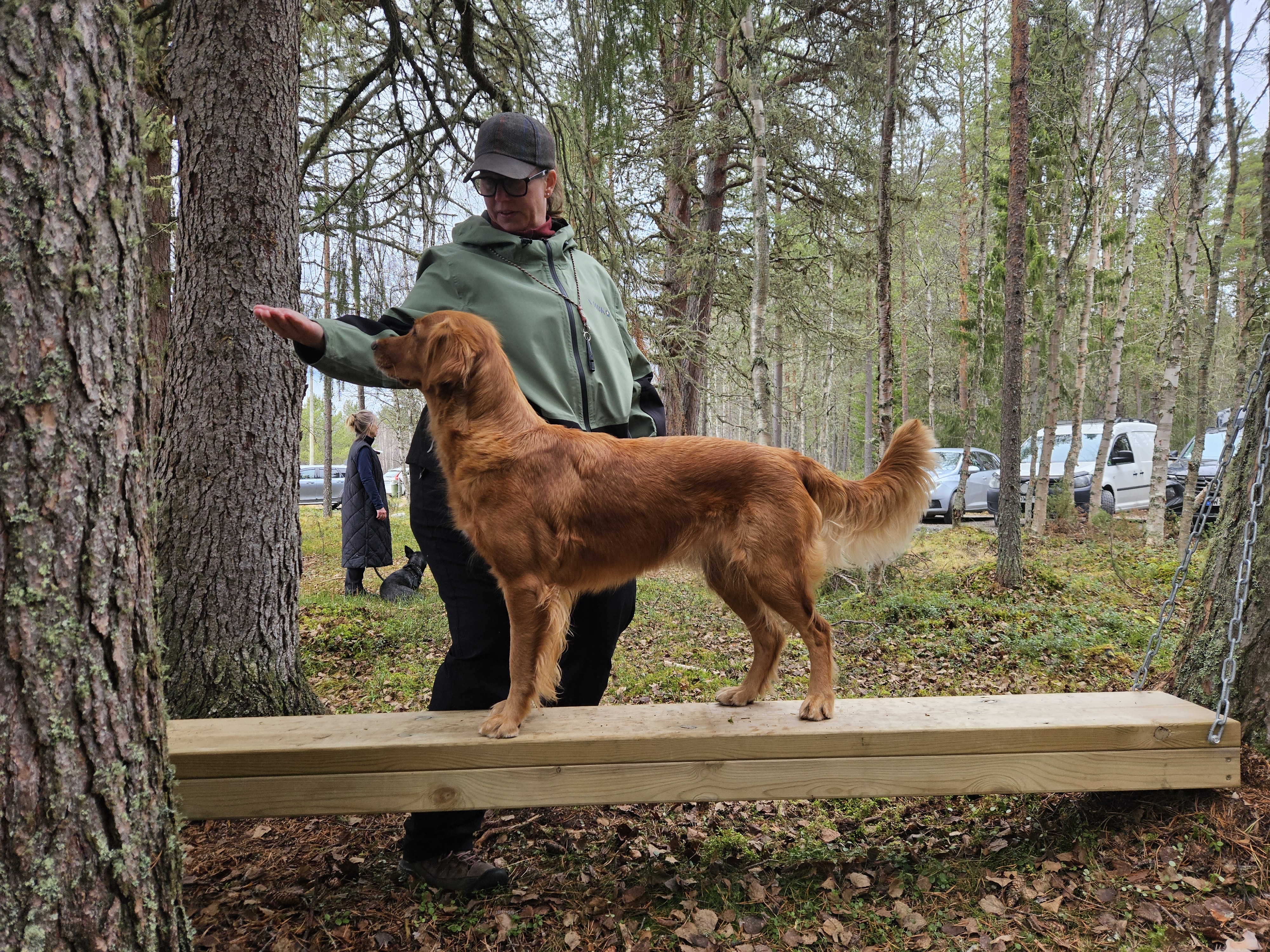 Hunden Lexi med matte Malin testar den hängande balansbommen på Hundholmens aktivitetsbana