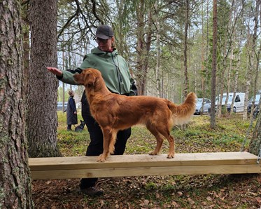 Hunden Lexi med matte Malin testar den hängande balansbommen på Hundholmens aktivitetsbana