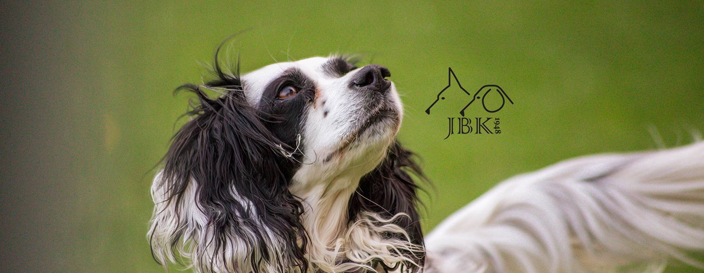 Hund med JBK-logotypen