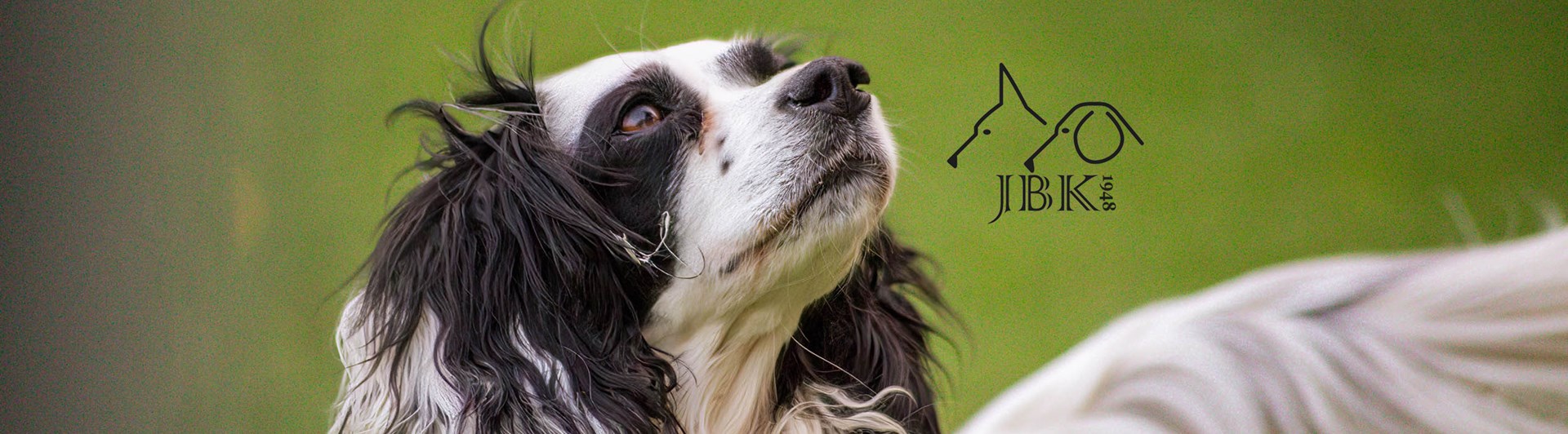 Hund med JBK-logotypen