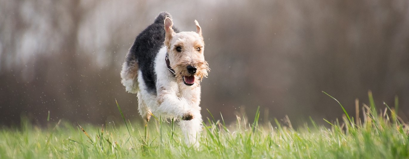 Allmän kursbild (2)