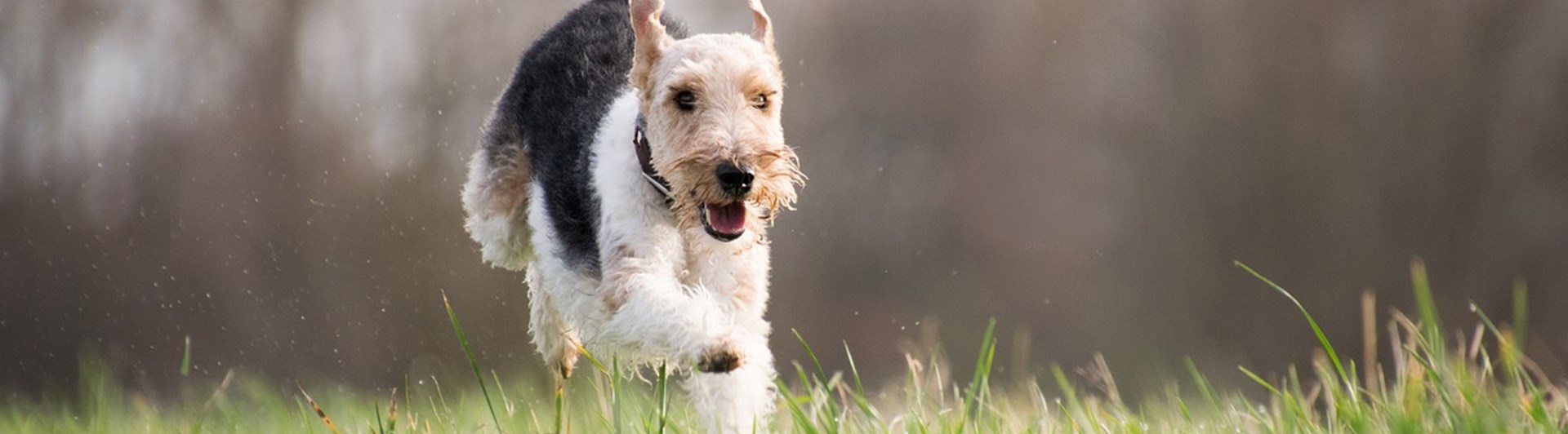 Allmän kursbild (2)