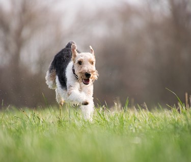 Allmän kursbild (2)