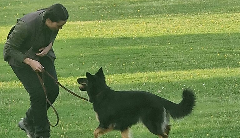 Årets Hund 2023 Lydnad: Rebecka Chiu & Bixie