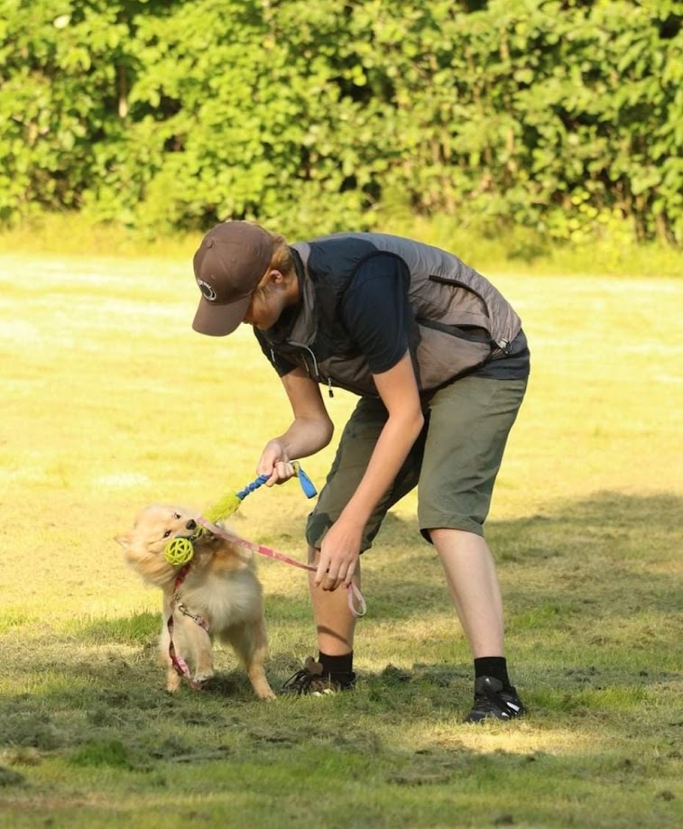 Förare leker med hund