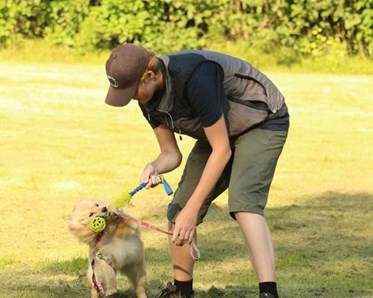 Förare leker med hund