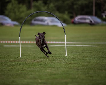 KM vinnare 2024 i Hoopers Large: Karina Herdin & Alex