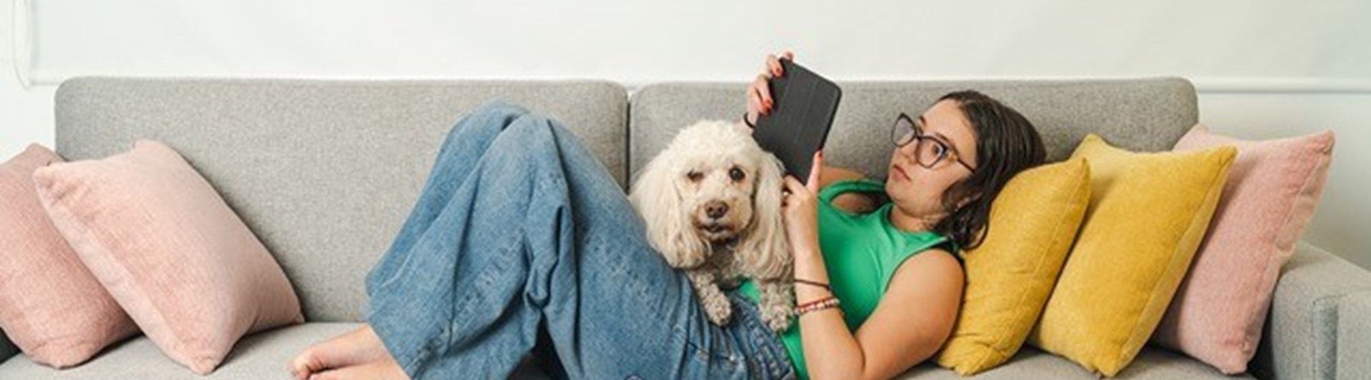 Matte med hund som ligger på soffan och läser i mobilen