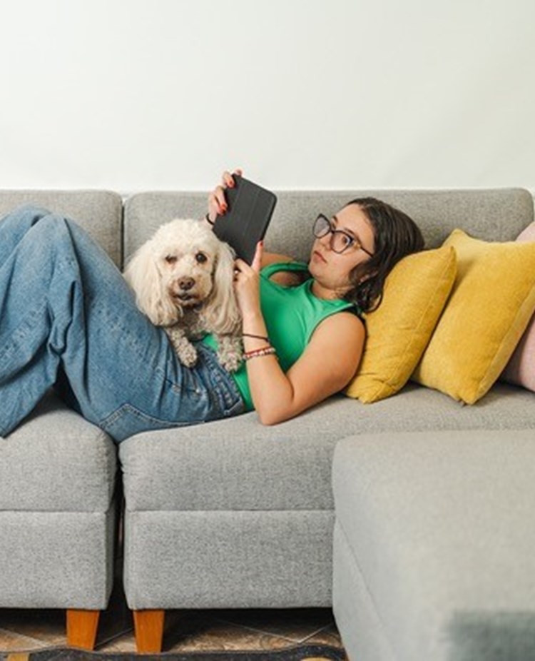 Matte med hund som ligger på soffan och läser i mobilen