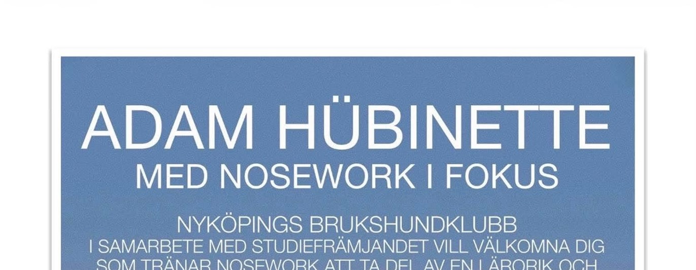 Föreläsning Adam Hübinette 2 november 2026.