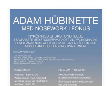 Föreläsning Adam Hübinette 2 november 2026.