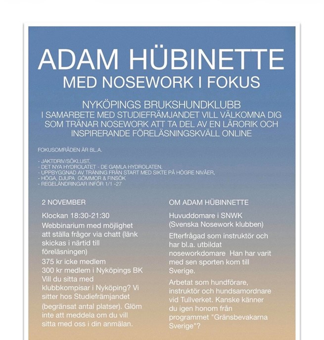 Föreläsning Adam Hübinette 2 november 2026.