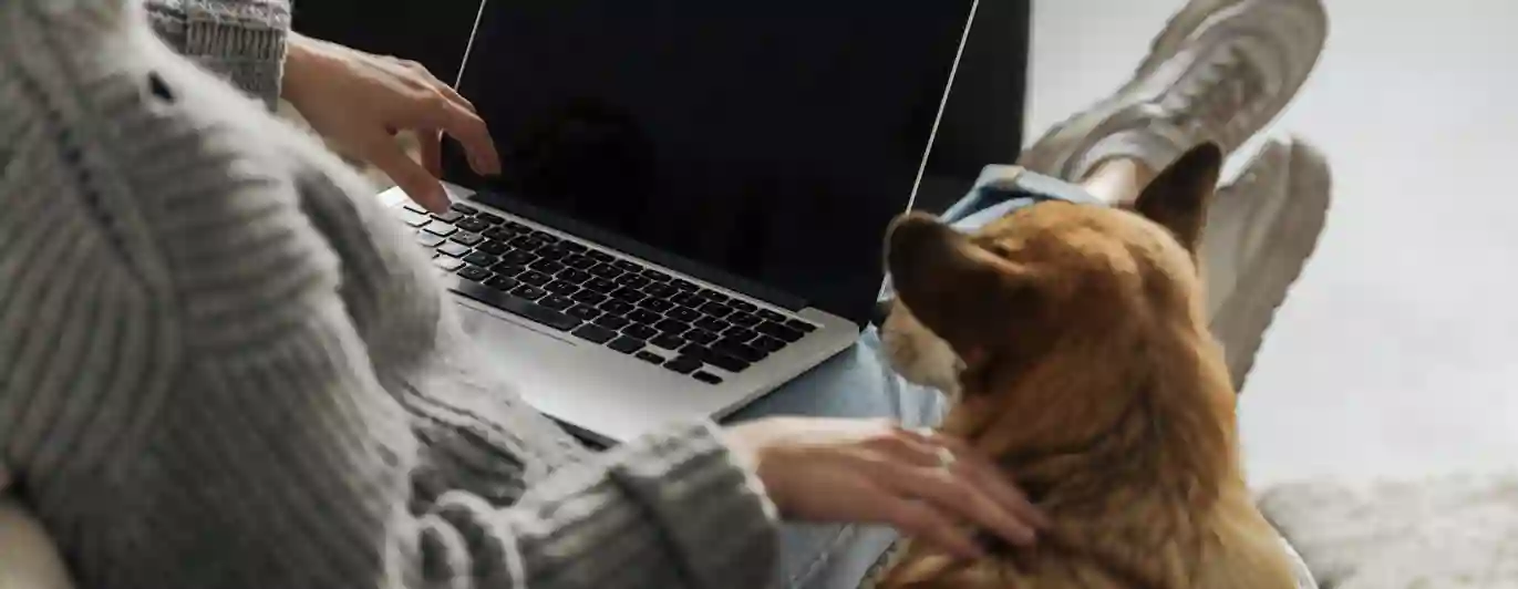 Hund och människa som tittar på en dator.