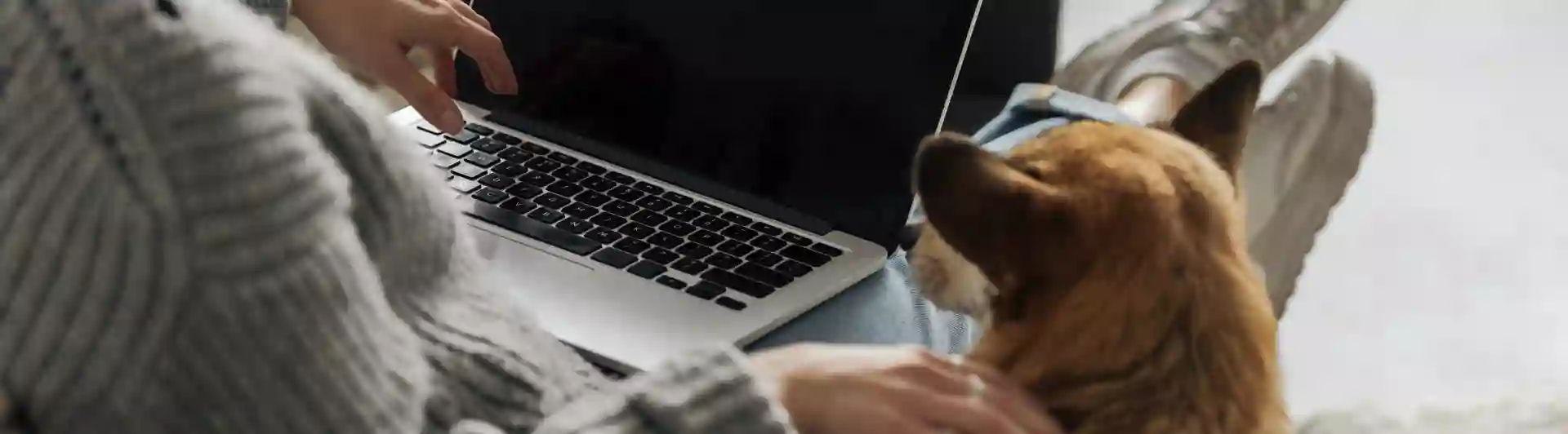 Hund och människa som tittar på en dator.
