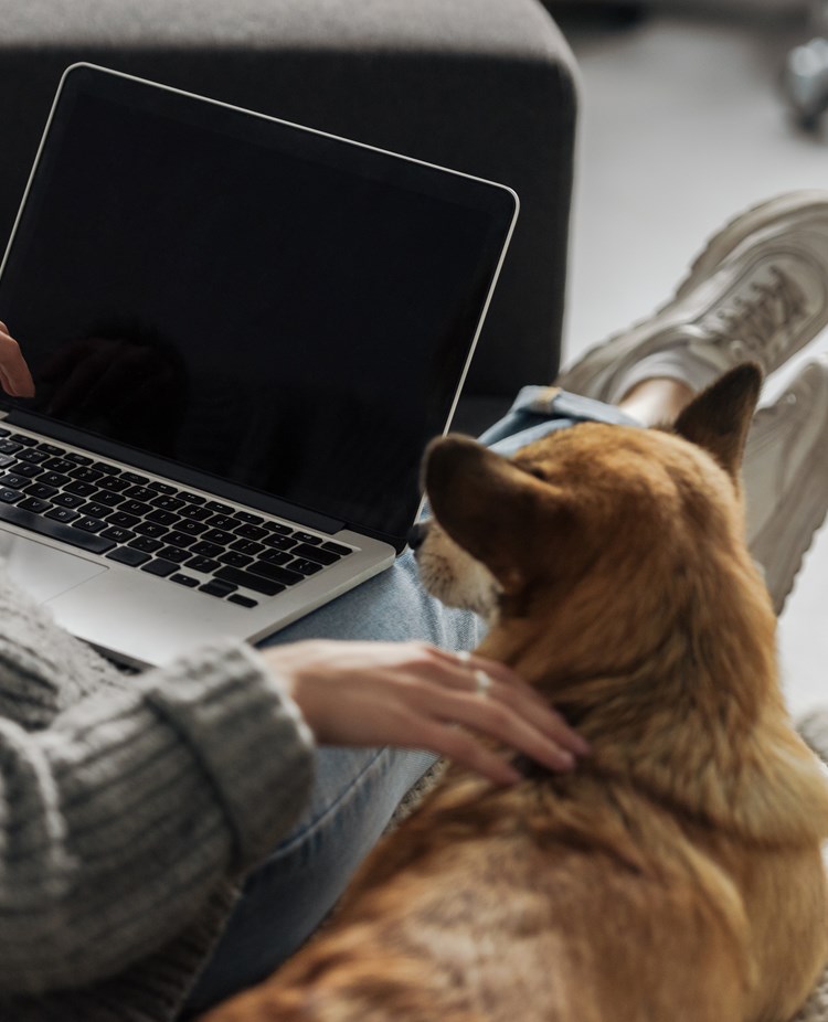 Hund och människa som tittar på en dator.