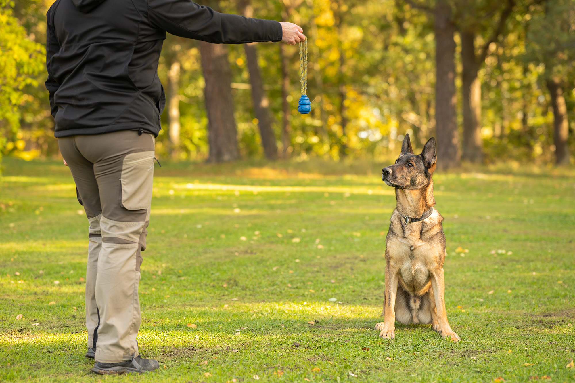 Schäfer Maxx fokuserar sig på bollen