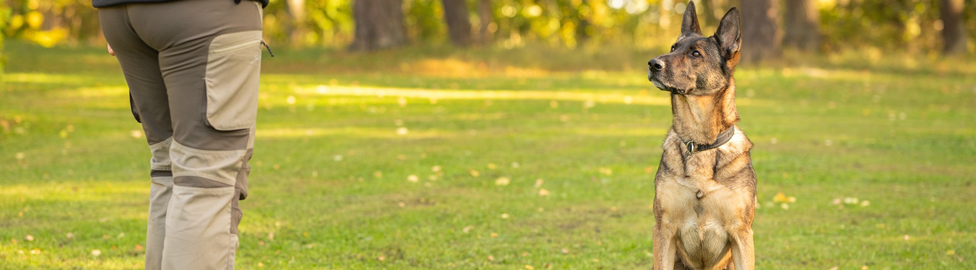 Schäfer Maxx fokuserar sig på bollen